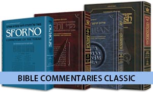 Bible Commentaries Classic