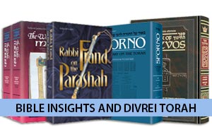 Bible Insights and Divrei Torah